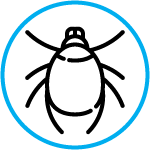antiacaro Antibatterico